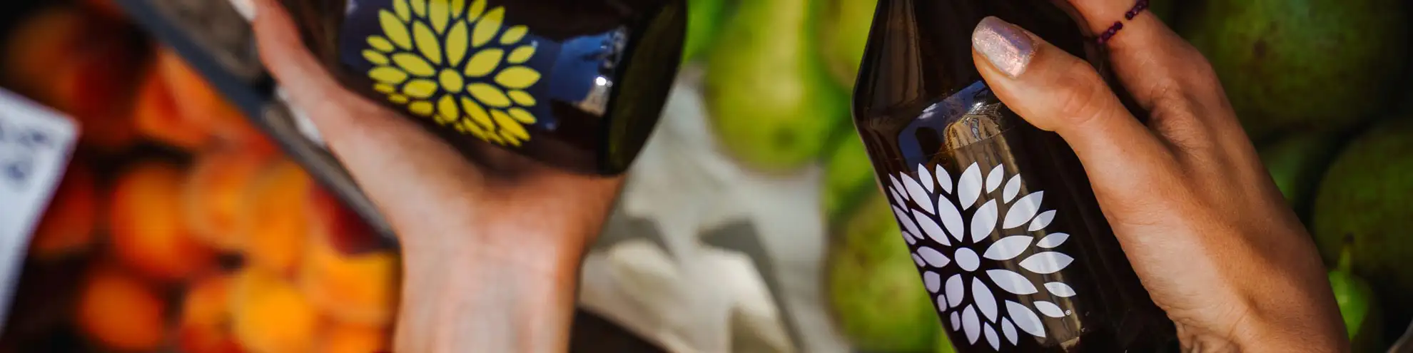 Absolut Juice - Kombucha
